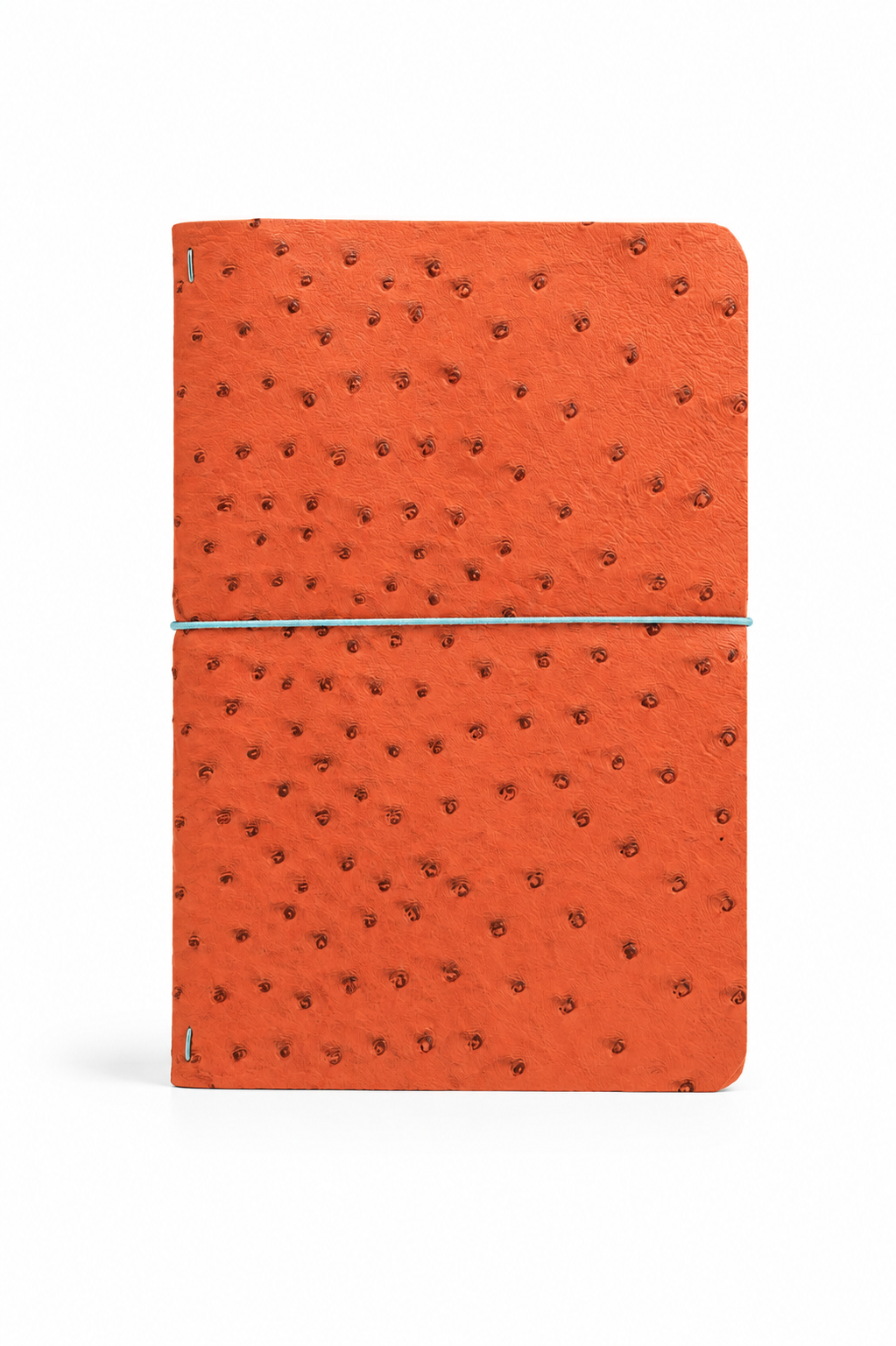 The Signature Ostrich Journal – A5