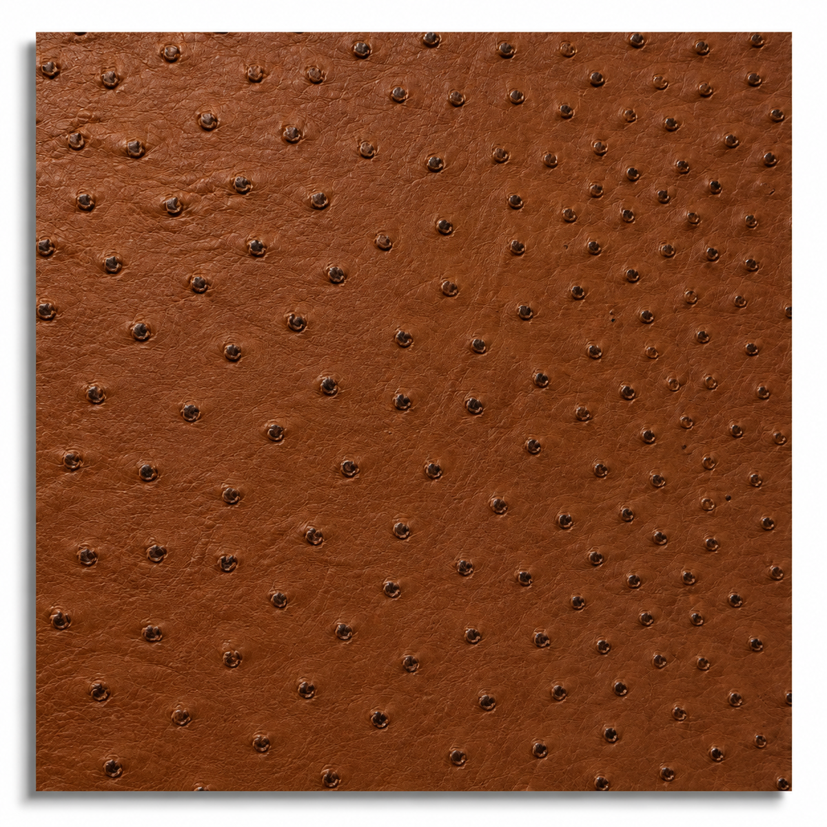 Customizable leather journal