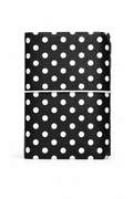 A7 — Classic Polka