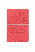 The Signature Ostrich Journal – A5